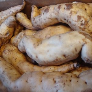 White Sweet  Potato 1kg.